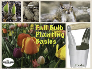 Fall Bulb Planting Basics