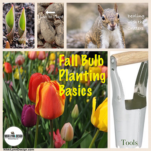 Fall Bulb Planting Basics