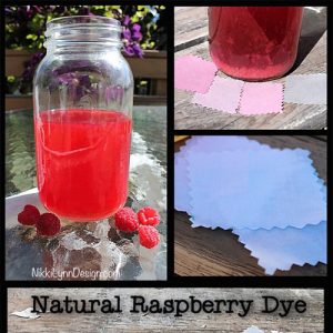 Natural Dye using raspberries along with cotton that has been dyed in raspberries