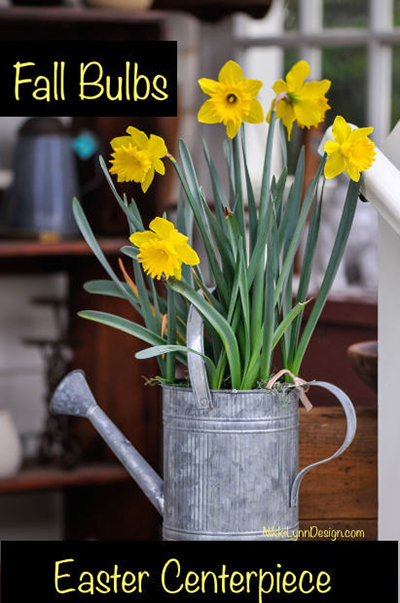 Flower Bulbs in Fall for an Easter Centerpiece