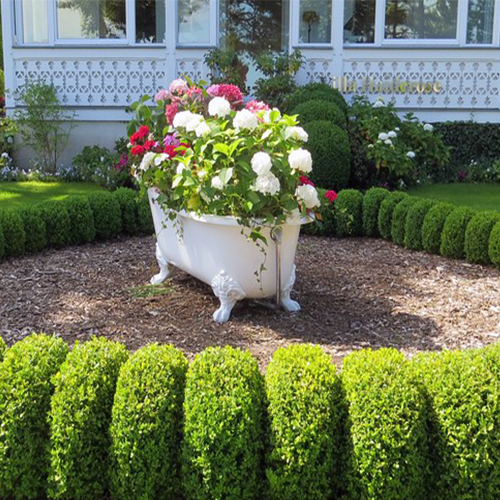 Bathtub Garden Flower Planter