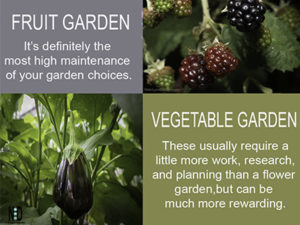 Choosing a Garden that is...
