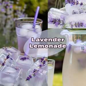 Lavender Lemonade