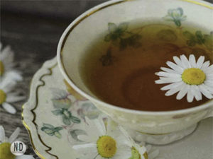 Chamomile Tea Using Flowe...