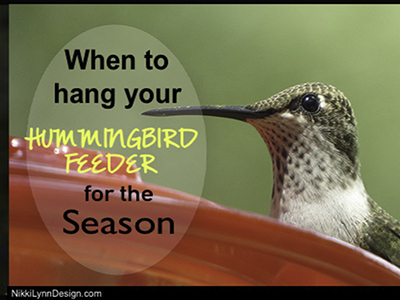 When Do the Hummingbirds ...