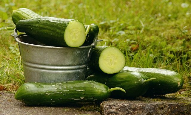 cucumbers-1588945_640