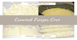 Recipe using corn on the cob to make freezer creamed corn