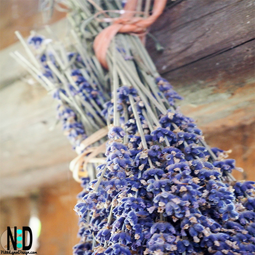 How To Dry Herbs and Flowers