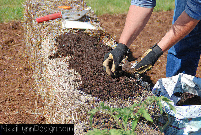 straw-bale-garden