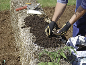 Straw Bale Garden