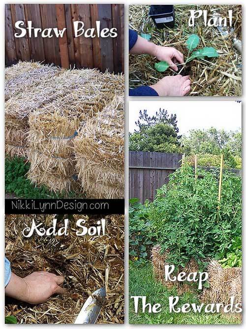 Straw Bale Garden