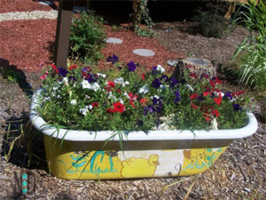 Rub a dub dub a bountiful amount of flowers in a cast iron tub. Cast iron tub of flowers.