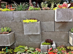 Cinder Block Garden Planting Wall