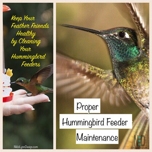 How To Clean A Hummingbird Feeder Nikki Lynn Design