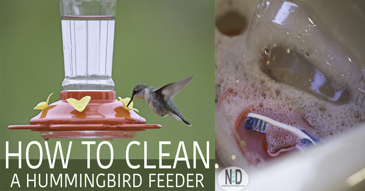 How To Clean A Hummingbird Feeder Nikki Lynn Design