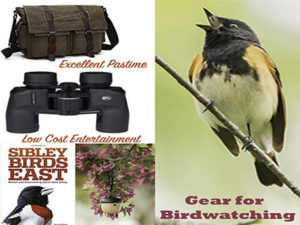 Gear for Birdwatching