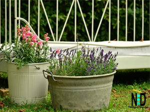 Antique metal tubs with handles add visual appeal to any yard, deck or patio. Their size is perfect for being able to plant and grow a vast amount in the tubs.