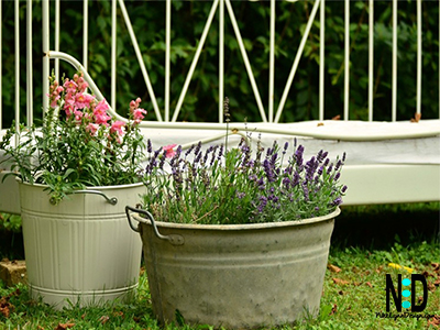 Antique metal tubs with handles add visual appeal to any yard, deck or patio. Their size is perfect for being able to plant and grow a vast amount in the tubs.