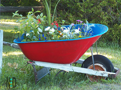 Old Wheelbarrow Planter