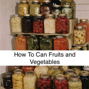 How To Can Fruits and Vegetables