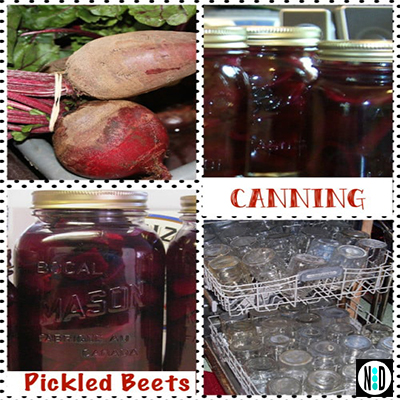 Canning Pickled Beets