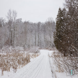 Bairds Nature Preserve After Winter Storm