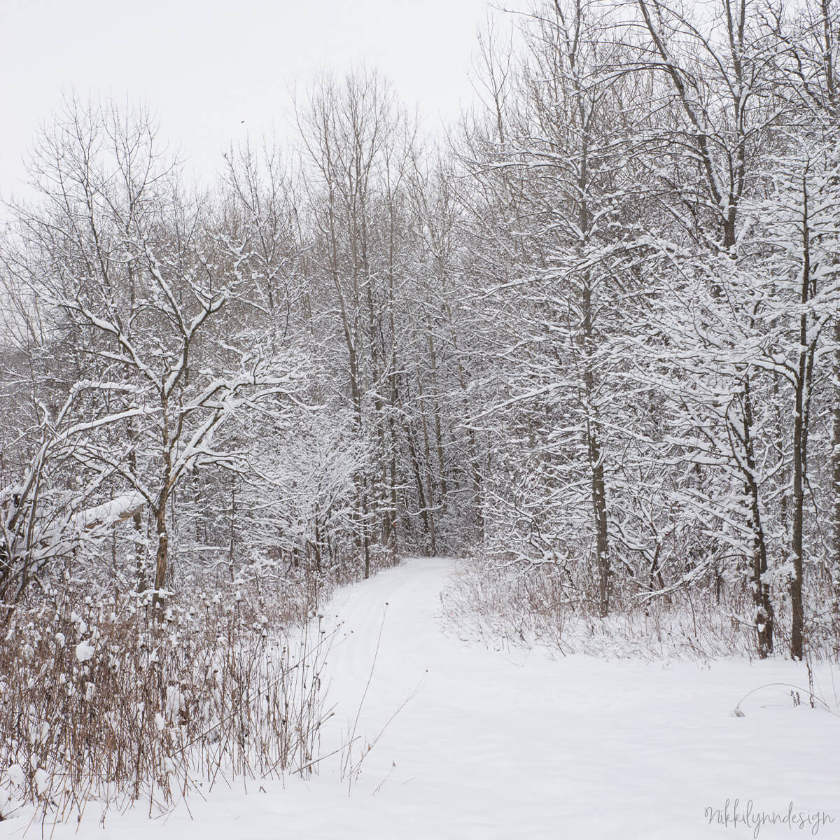 Snow-covered trail at Baird Creek Nature Preserve in Green Bay Wisconsin after a winter storm