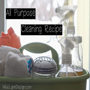 All Purpose Cleaner Recipe