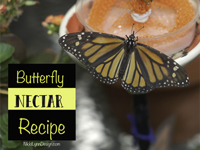 Butterfly Nectar Recipe