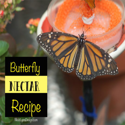 Butterfly Nectar Recipe