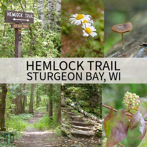 This is one of four hiking trails in the park, and part of the Ice Age Trail. Be sure to buy a park pass to see all the state parks on the peninsula.