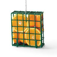 Suet Feeder Filled With Orange Halves