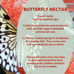 Butterfly Nectar Recipe