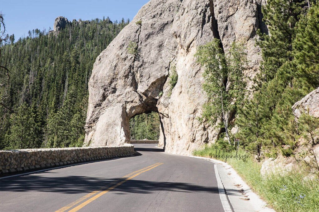 Needles Highway curving into a rock tunnel in Custer State Park South Dakota