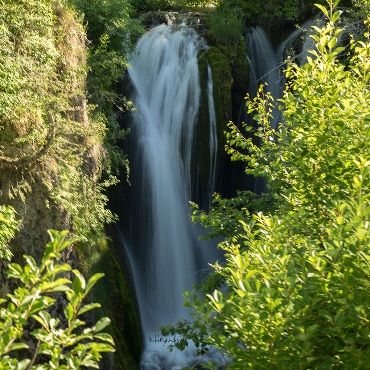 Waterfall in Spearfish Canyon South Dakota flowing between mossy canyon walls and green summer foliage.