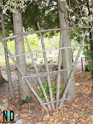 a fan garden trellis made from sticks.
