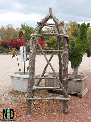 A garden trellis made from tree branches and sticks.