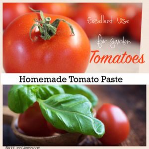 Tomato paste recipe - If you make your own it is guaranteed to be tastier the store bought and have a lot less salt.