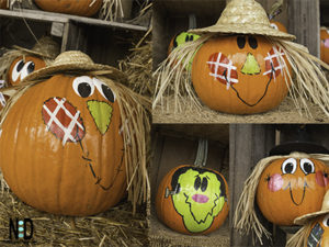 Painted Fall Pumpkins