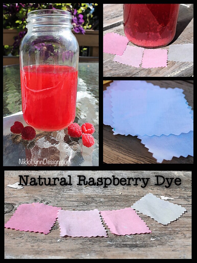 Dyeing Cotton Using Raspberries My daughter and I have been experimenting making natural dyes from berries and plants the past few days to dye clothing. We decided to do a few color samples by dyeing cotton using raspberries.