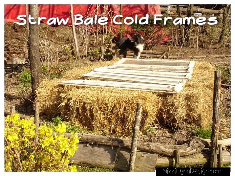 How to Make and Use a Straw Bale Cold Frame