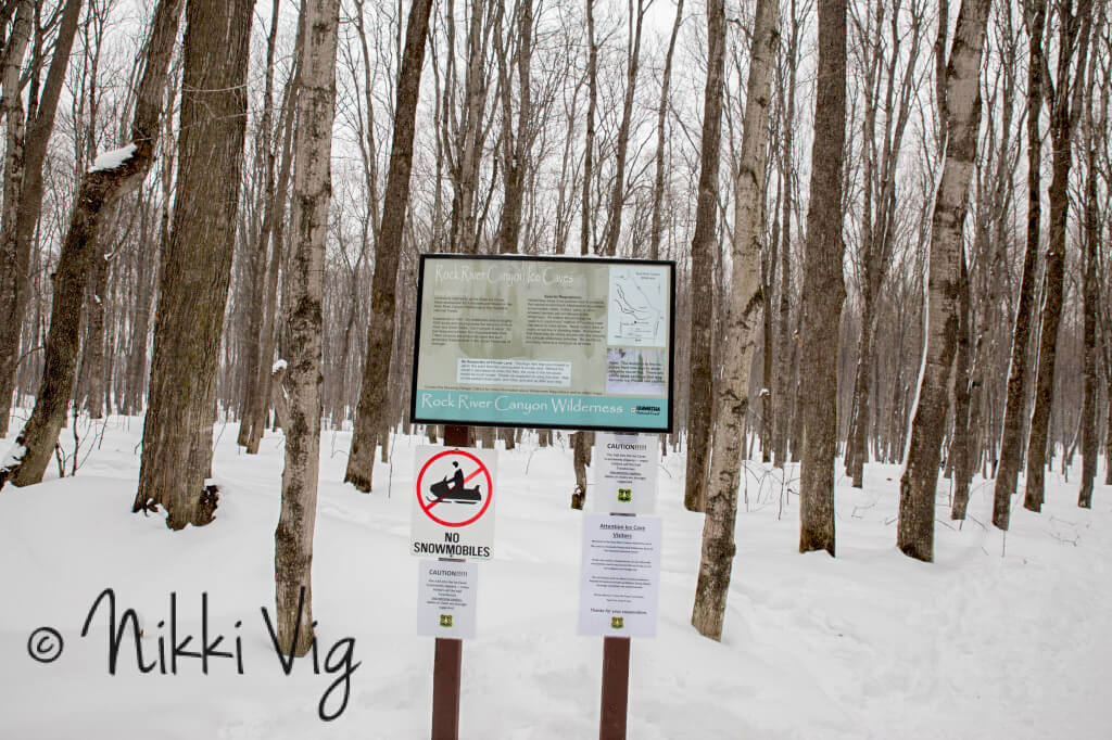 Eben Ice Caves - Eben Junction Michigan - We followed the hardened, snow path through the pines and birch trees. The walk through the woods was beautiful. There was no wind and a light dusting of snow on the trees. The path for the first 3/4 mile was flat and easy to walk.