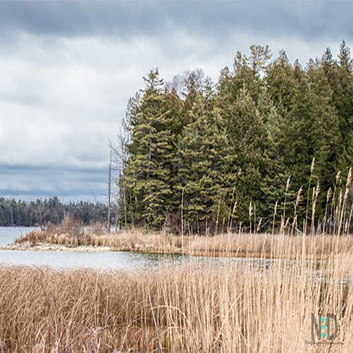 Toft Point for an Afternoon Hike