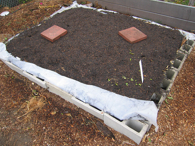 Garden Ideas Using Concrete Blocks Nikki Lynn Design Garden Ideas Using Concrete Blocks Raised Bed Cinder
