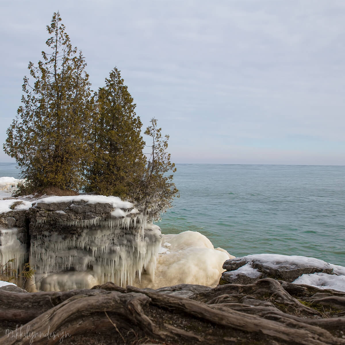 Icy shoreline and cedar trees at Cave Point County Park along Lake Michigan in Door County Wisconsin.