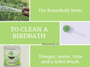 How to Clean a Birdbath
