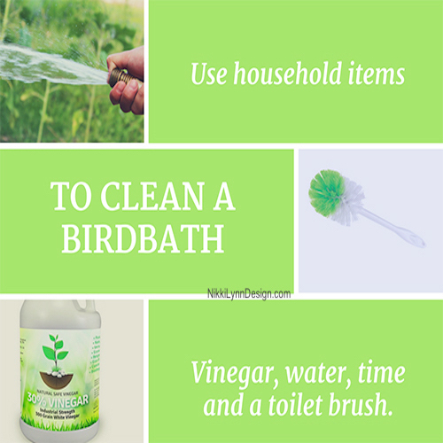 How To Clean a Birdbath - Is it time to clean your birdbath?  You just cringed - I feel your pain.  Here is an easy way to clean your birdbath and check out the link on how to keep the water fresh and clean.