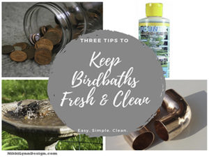 Keep Birdbaths Fresh and ...