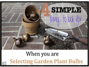 Selecting Garden Plant Bu...