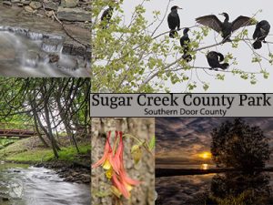 Sugar Creek in Southern D...